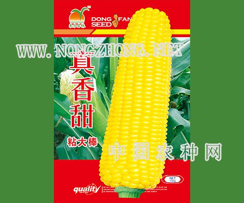 真香甜